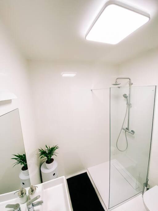 New Studio In Quiet Part Of The City Center Bratislava Extérieur photo